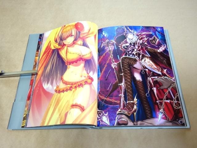 ★ Fate/Grand Order Servant 最終再臨画集 I + Ⅱ