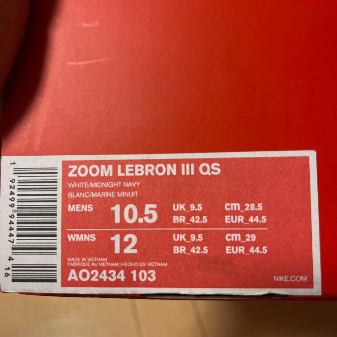 Nike バスケットボールシューズ AO2343-103 28.5cm