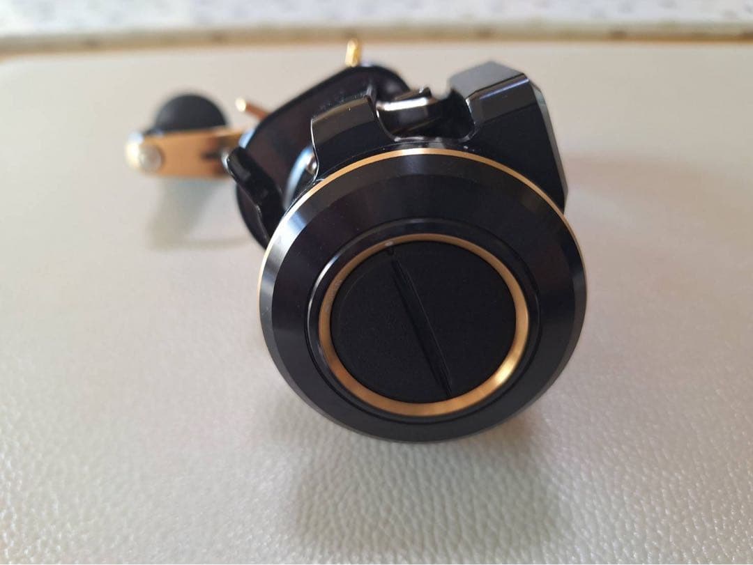 DAIWA SALTIGA IC 100P-DH リール