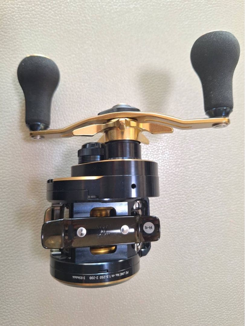 DAIWA SALTIGA IC 100P-DH リール