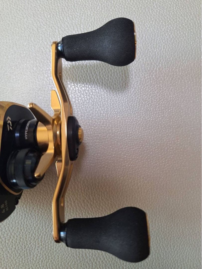 DAIWA SALTIGA IC 100P-DH リール