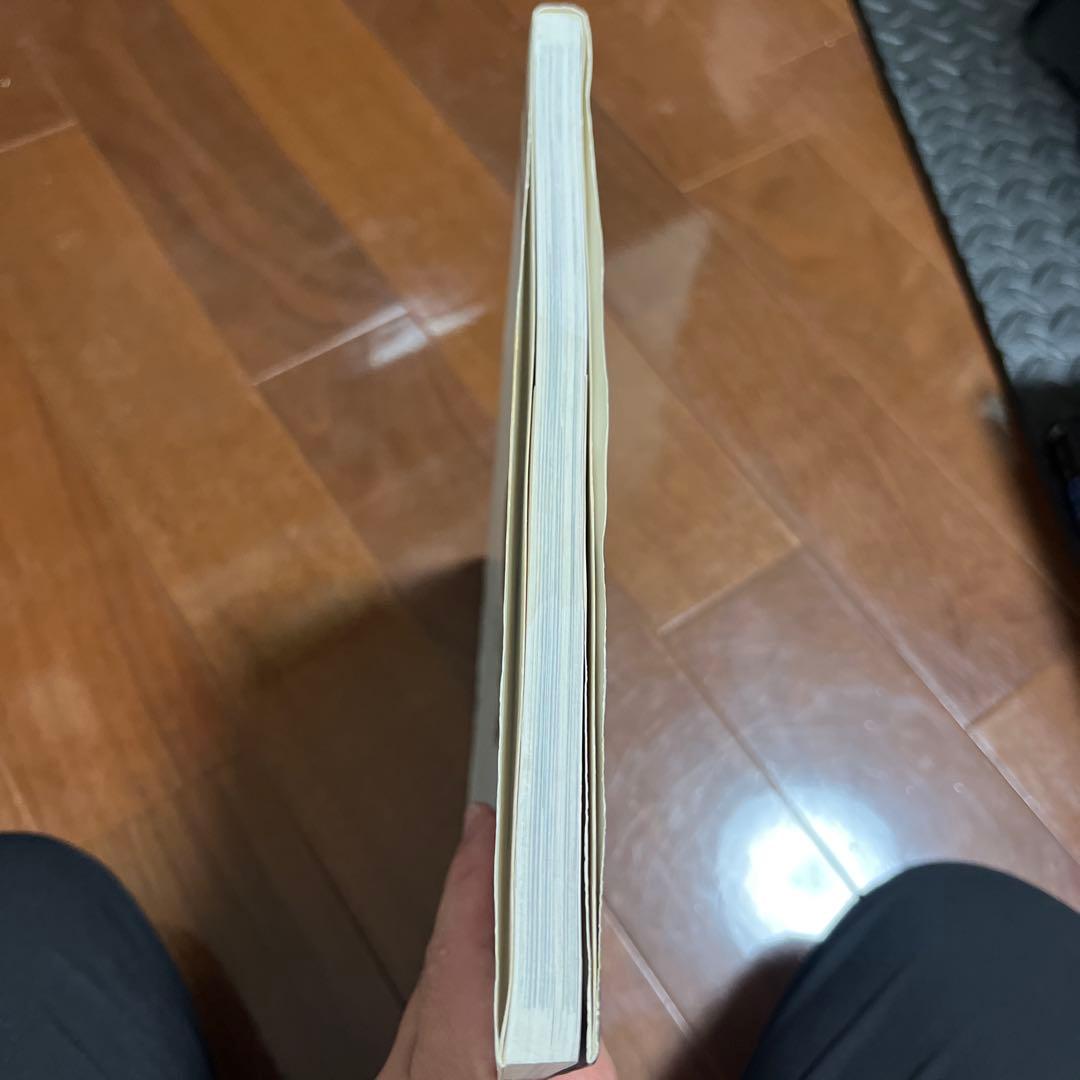 【レア】INNOCENCE 美樹本晴彦画集