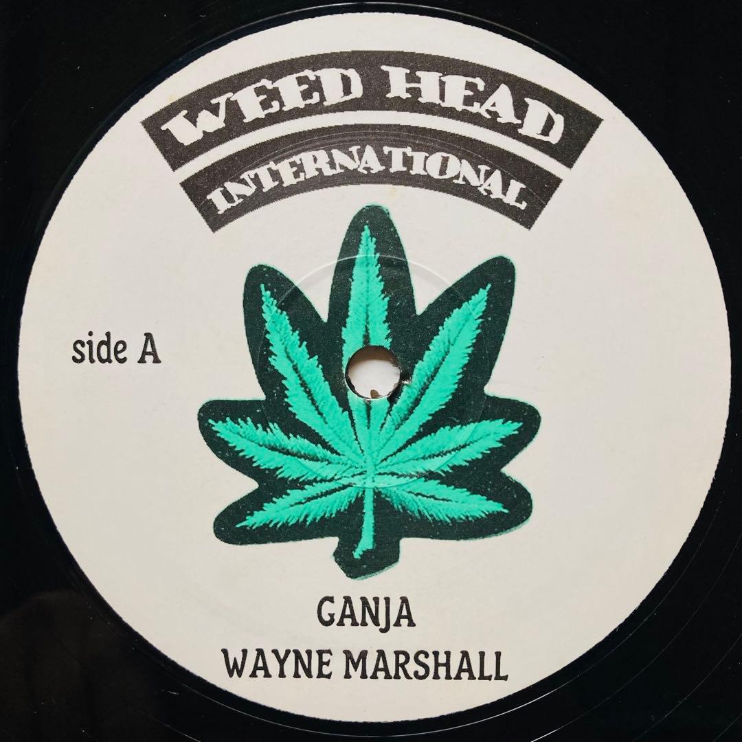 12インチ レゲエREMIX 3枚 +オマケ2枚