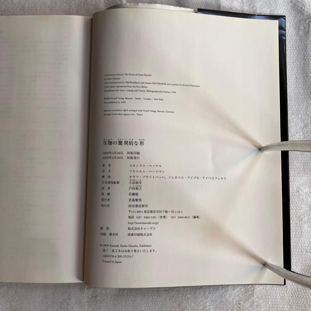 エルンスト ヘッケル art forms in nature