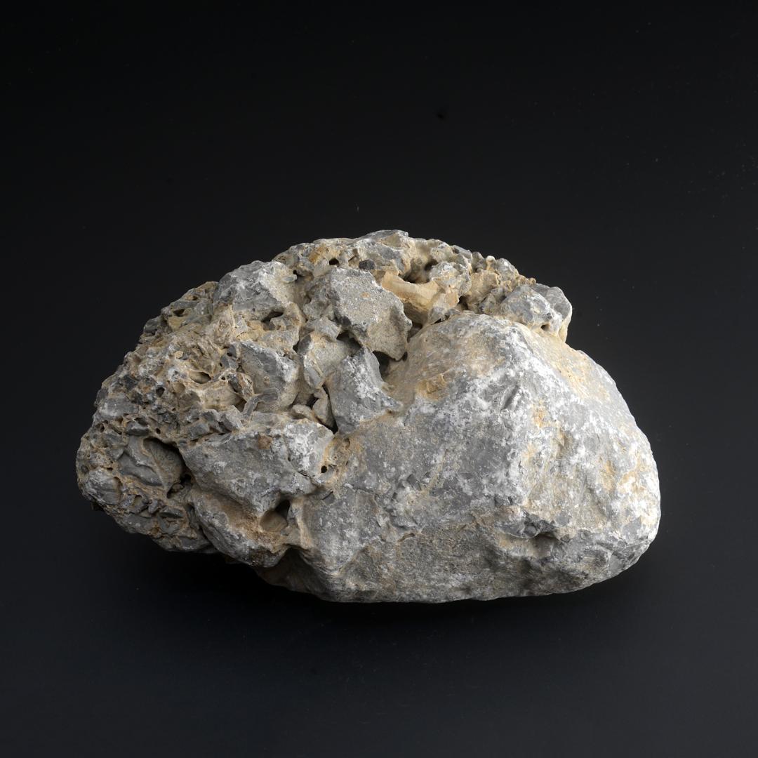 さざれ石（石灰質角礫岩 W25.5cm/D17.6cm/H14.4cm）072