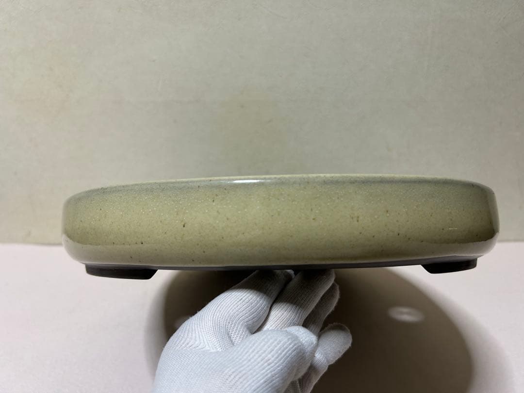 大型　盆栽鉢　雑木盆栽　山野草