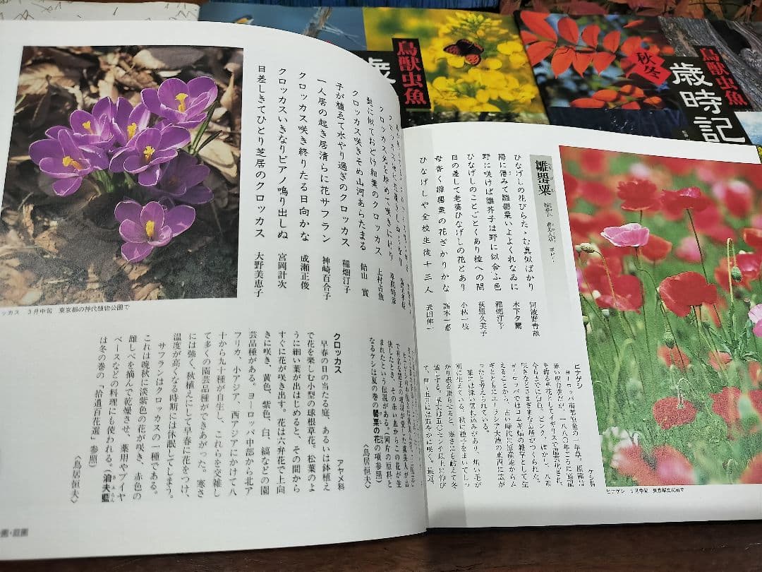 美品★草木花　烏獣虫魚★俳句歳時記★春夏秋冬　全6巻セット★稲畑汀子　金子兜太