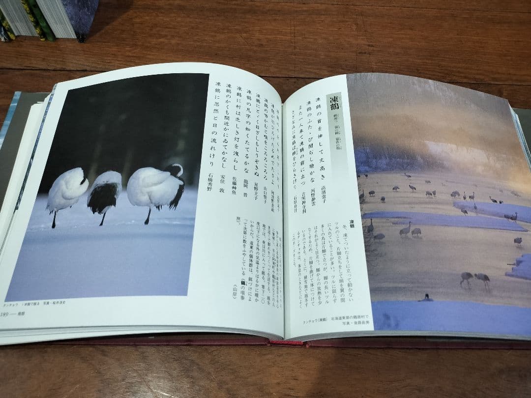 美品★草木花　烏獣虫魚★俳句歳時記★春夏秋冬　全6巻セット★稲畑汀子　金子兜太